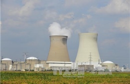 EU cảnh báo nguy cơ tấn công vào các nhà máy hạt nhân Bỉ